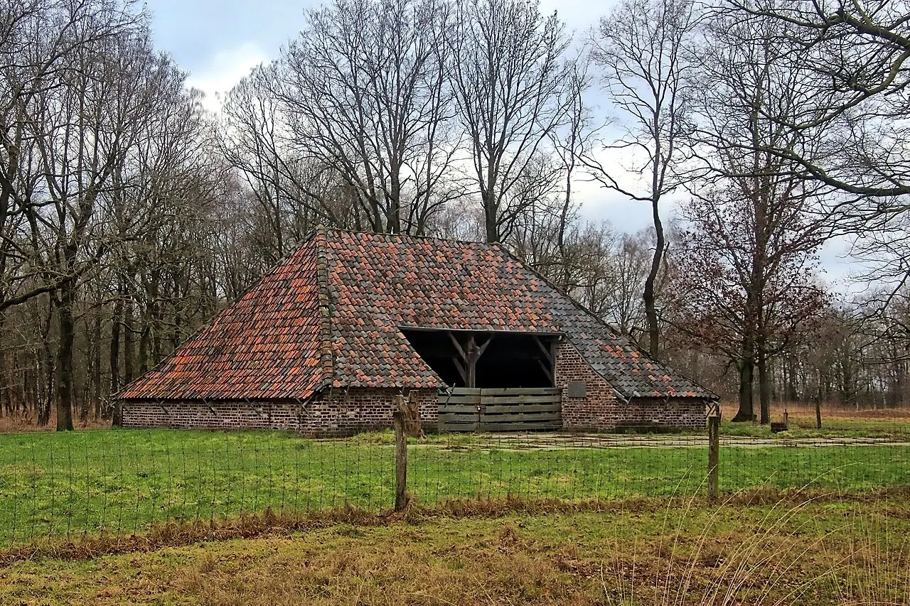 Natuurgebied Mariapeel, open hoogveenlandschap