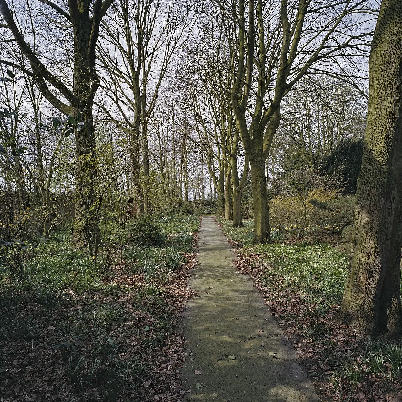 Langeafstandswandelen door het Nederlandse landschap.
