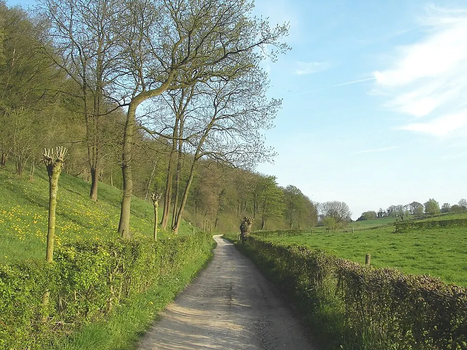 Wandelpad door een natuurgebied, vergelijkbaar met de Peelgebied-routes