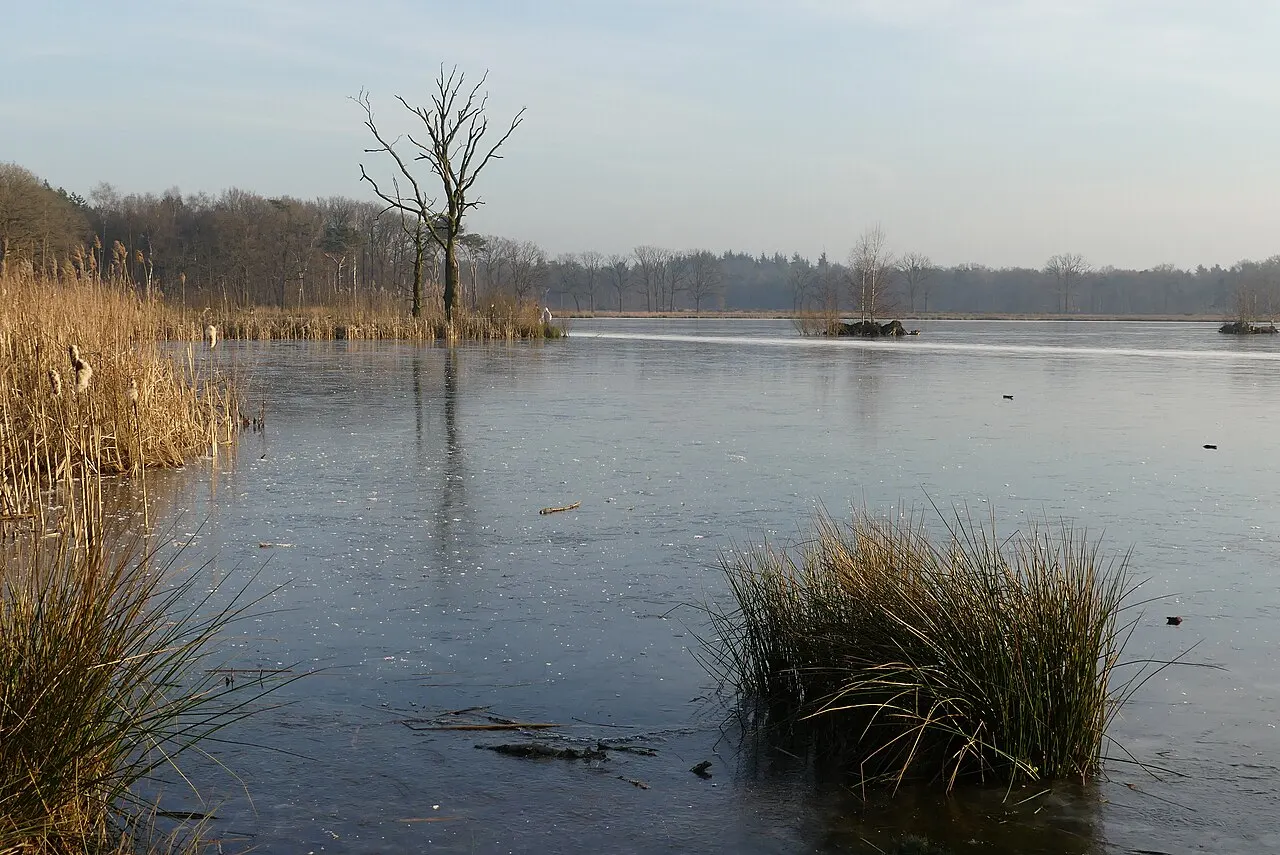 Winter in de Peel: bevroren vennen en rijp op de heide.