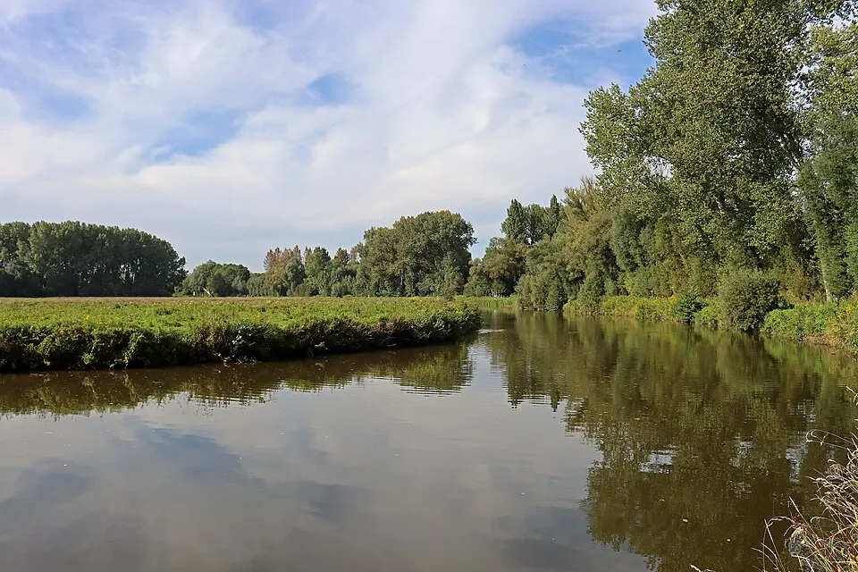 Weelderige zomernatuur met gras en bomen langs een waterweg, vergelijkbaar met de Peelrand in juli